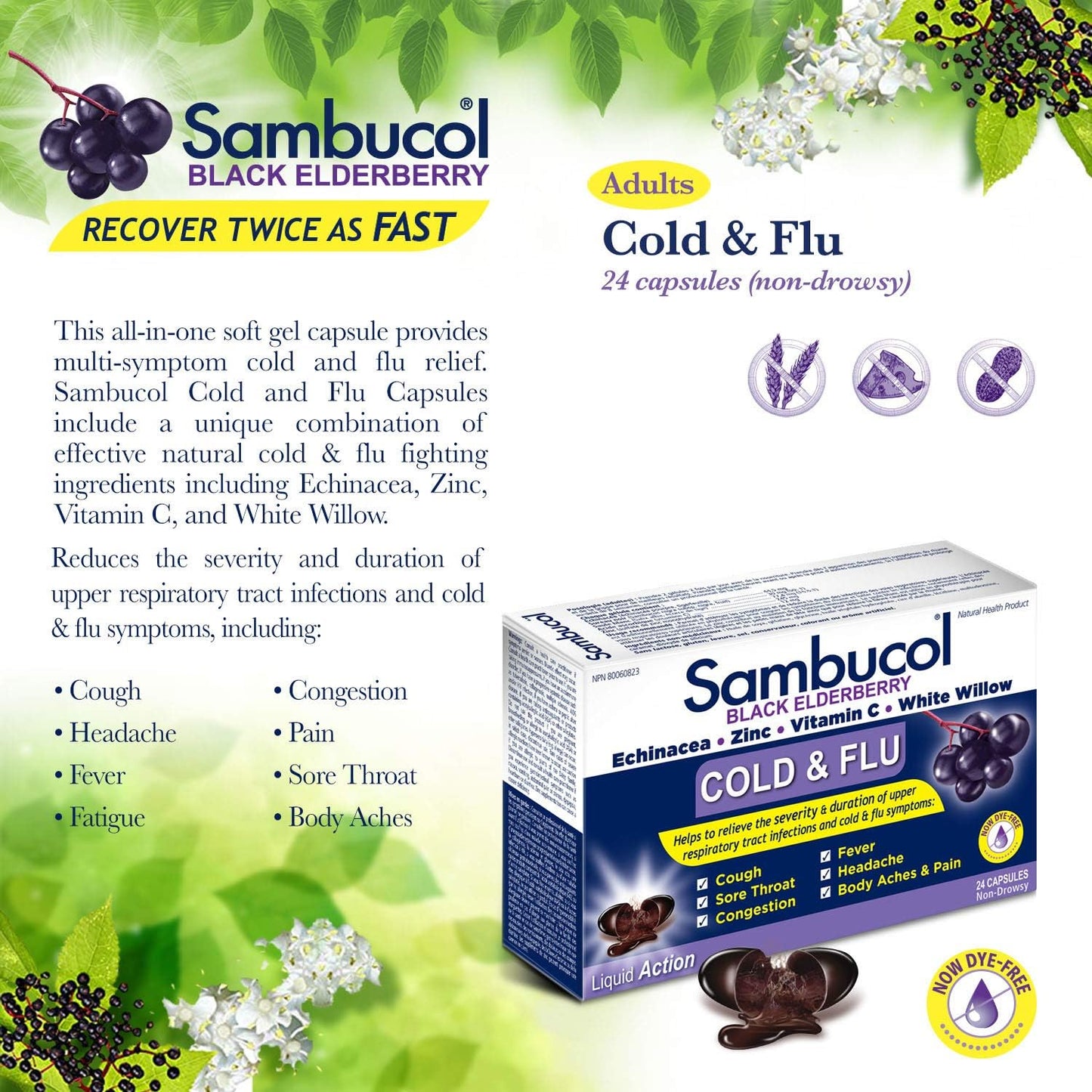 Sambucol Black Elderberry – Cold & Flu Relief | Echinacea, Zinc, Vitamin C & White Willow | Helps Relieve Congestion, Sore Throat, Coughs & Fatigue | Natural Health Product, For Adults | 24 Capsules