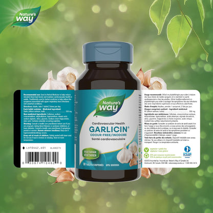 Nature's Way 大蒜素 – 心血管健康支持 – 上呼吸道感染支持 – 蒜头 – 90 片素食片