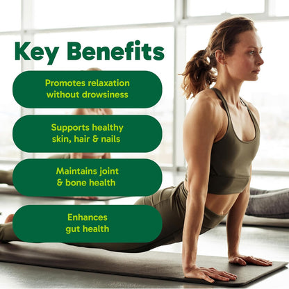 Organika 增強型膠原蛋白放鬆粉，含甘氨酸鎂和 L-茶氨酸 - 具有鎮靜作用，有助於睡眠，全天保持能量水平 - 250 克