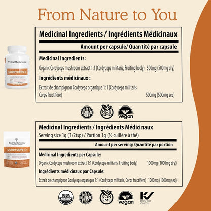 Real Mushrooms Cordyceps Capsules - Organic Militaris Extract with Measured Beta-Glucans Fungal Polysaccharides Immunomodulating Properties Vegan Supplement, Non-GMO, 300 Caps