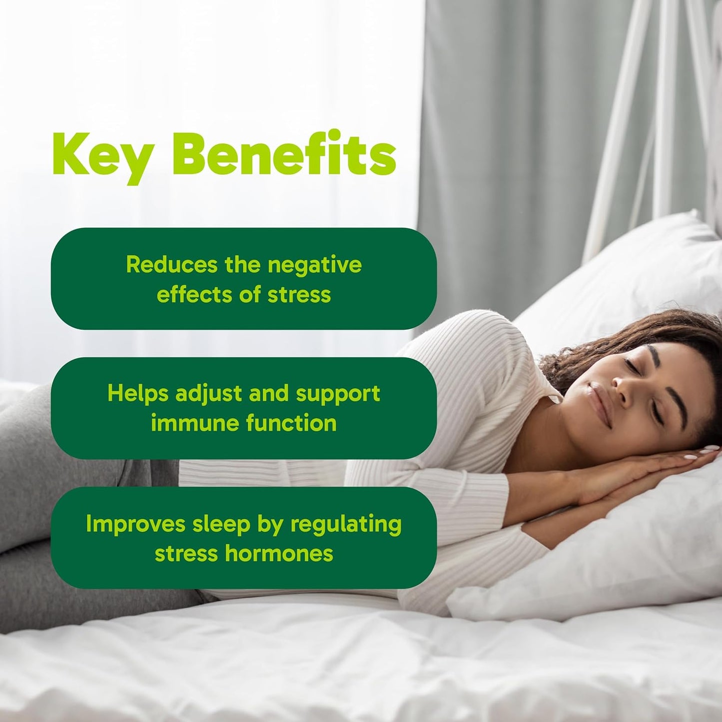 Organika 灵芝提取物 - 180 粒素食胶囊