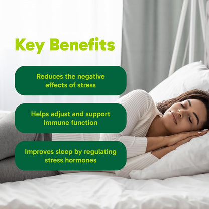 Organika 灵芝提取物 - 180 粒素食胶囊