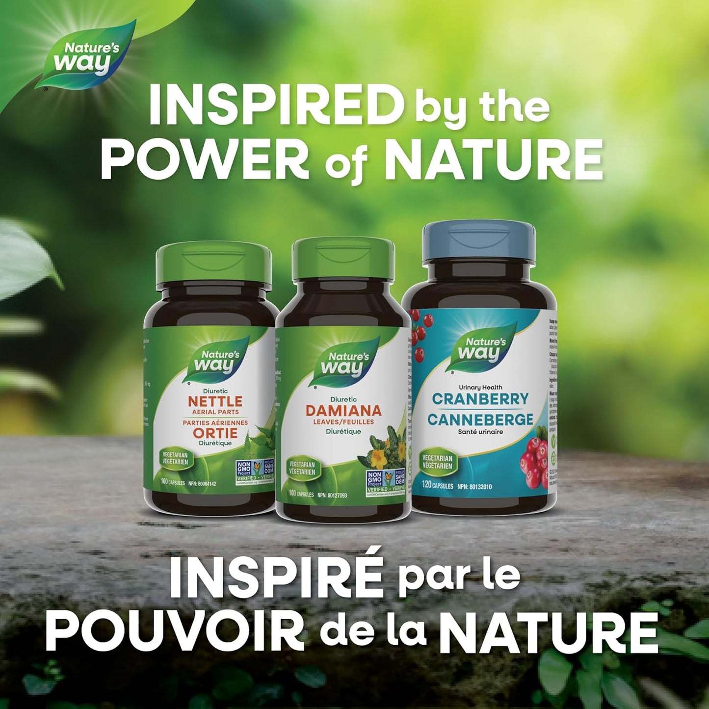 Nature's Way Damiana Leaves Premium Capsules - Herbal Nervine Tonic & Urinary Support – 300 mg of Damiana Leaves per Capsule - Non-GMO, 100 Vegetarian Capsules