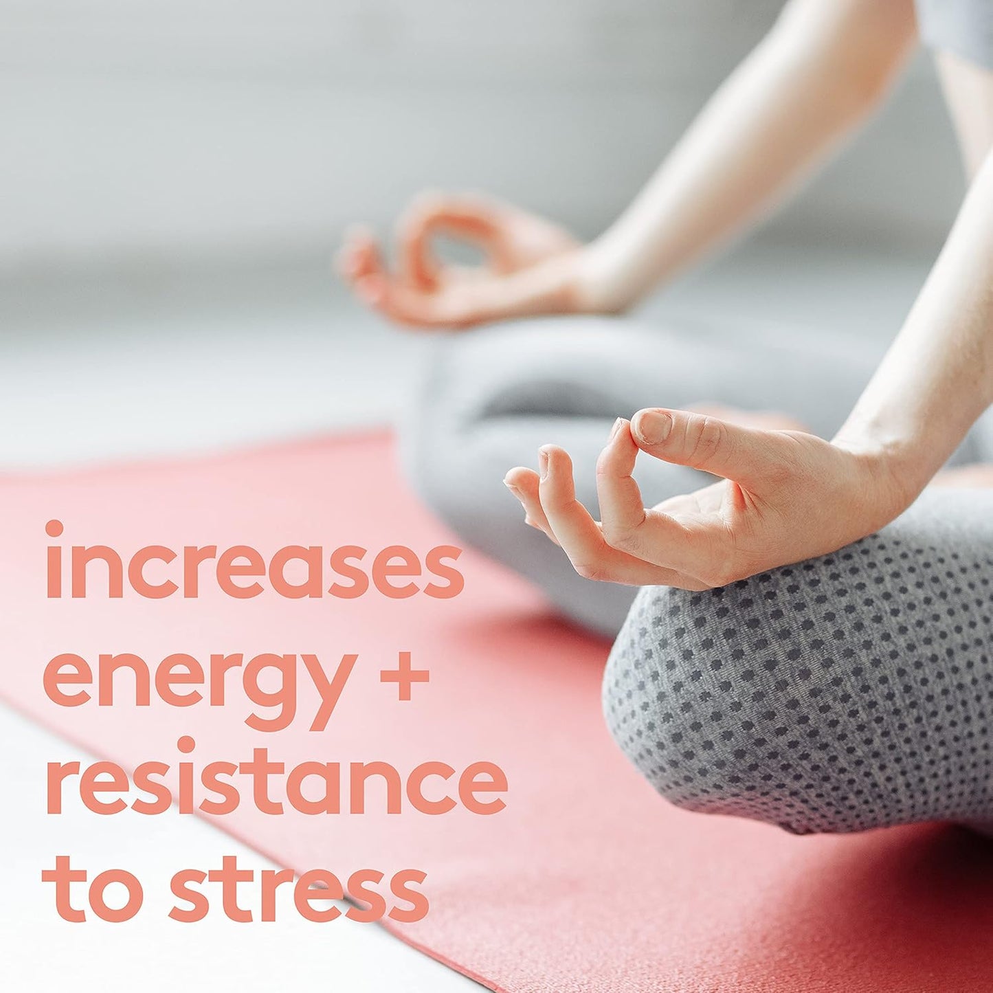 HEAL + CO. 南非醉茄補充劑 | 高效 5:1 萃取物，每份 5000 毫克 | 緩解壓力 + 補充能量 | 120 粒 500 毫克膠囊