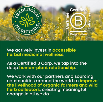 Traditional Medicinals - 有機 Smooth Move 瀉藥草本茶（6 包）- 夜間溫和緩解偶發性便秘 - 共 96 個茶包