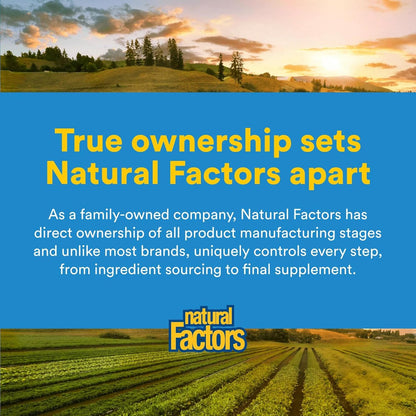 Natural Factors - 微粉化 L-谷氨酰胺粉末游离形式氨基酸 - 300G 克粉末 - 每份 5 克。