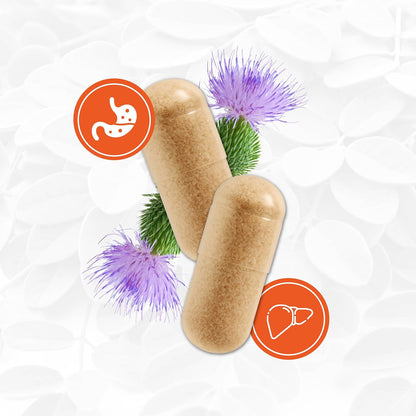 PlantVital Organic Milk Thistle Extract Capsules - Made in Canada - Vegan - 80% Silymarin Flavonoids - Can support liver function and digestive disturbances - Non-GMO - 3 Months Supply - 90 Capsules