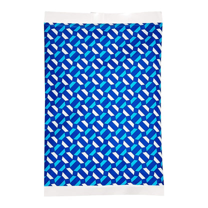 Amazon Basics 可重复使用冰袋，6.7 英寸 X 4.3 英寸，蓝色，4 英尺一包