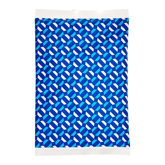 Amazon Basics 可重复使用冰袋，6.7 英寸 X 4.3 英寸，蓝色，4 英尺一包