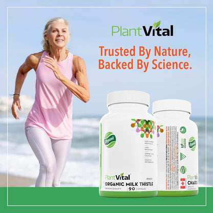 PlantVital Organic Milk Thistle Extract Capsules - Made in Canada - Vegan - 80% Silymarin Flavonoids - Can support liver function and digestive disturbances - Non-GMO - 3 Months Supply - 90 Capsules