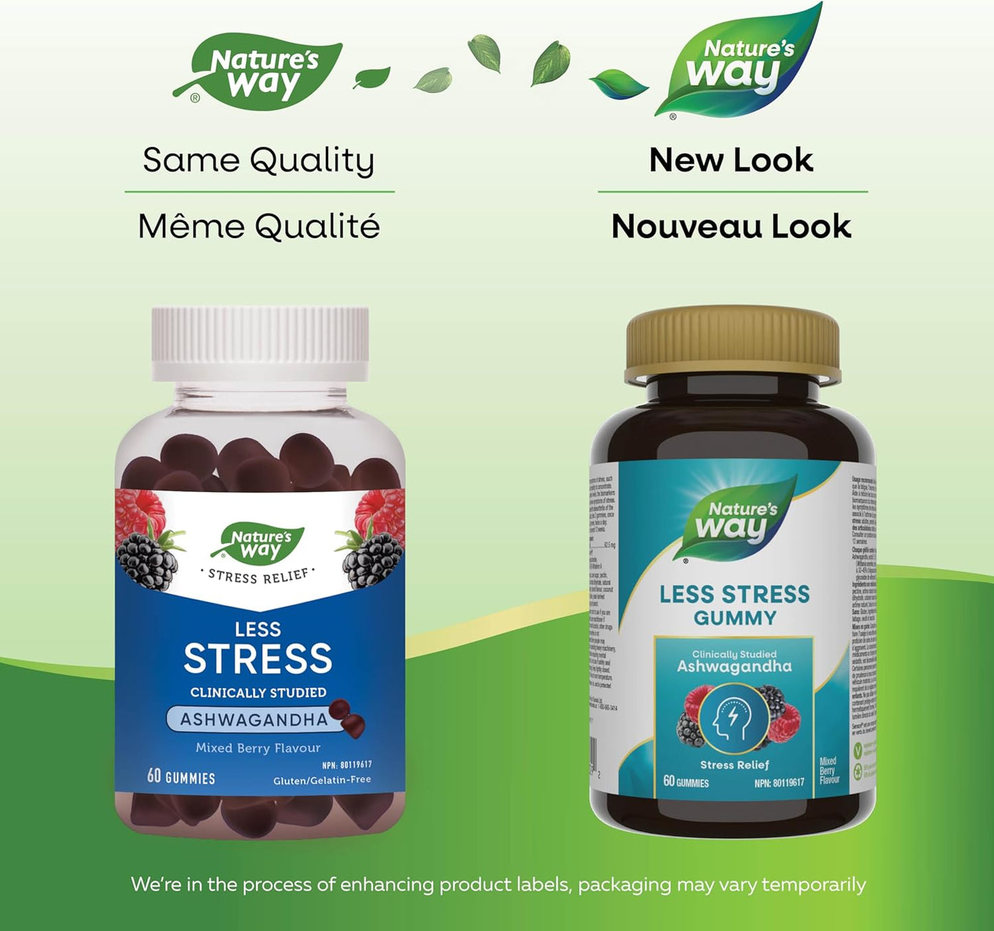 Nature’s Way 舒缓压力南非醉茄软糖 – 成人压力缓解补充剂 – 经临床研究，Sensoril® 南非醉茄，减轻压力症状，天然混合浆果口味，60 粒素食软糖