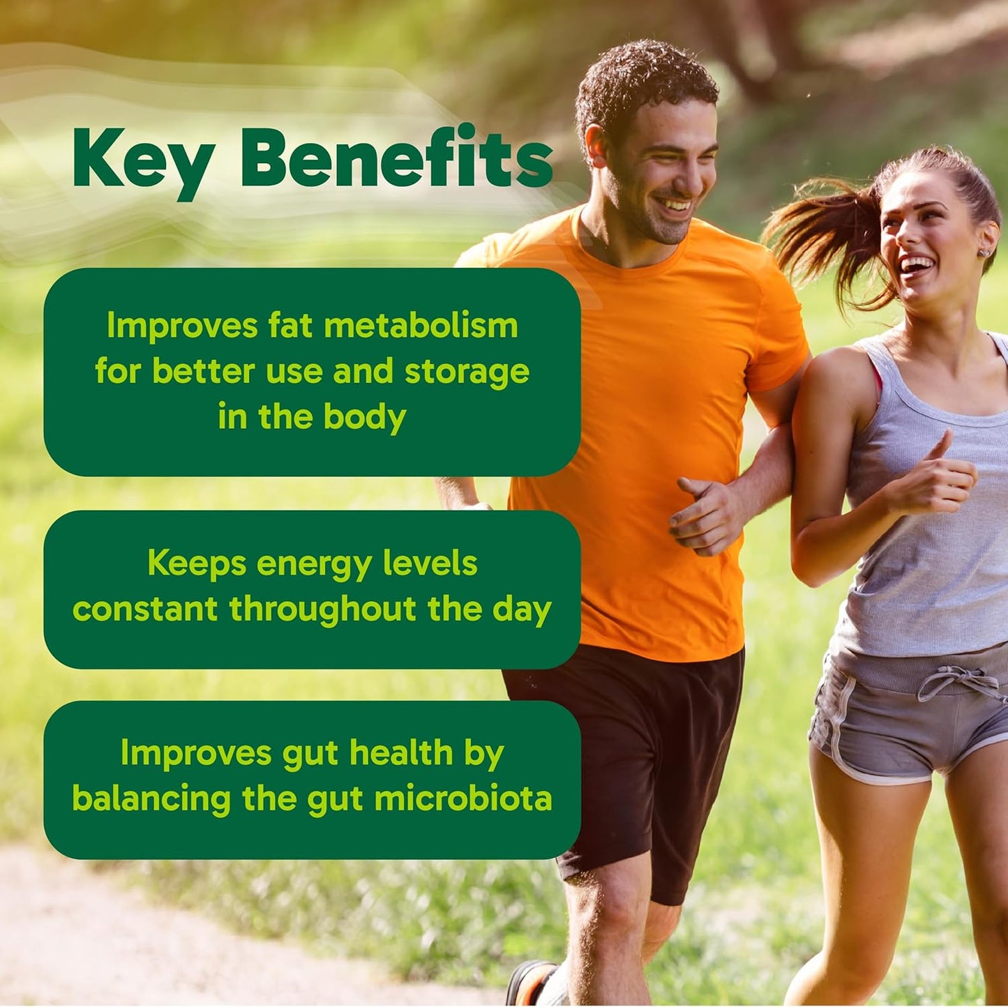 Organika 小檗碱 - 高效，支持胆固醇和葡萄糖代谢，有助于维持心血管健康 - 60粒胶囊