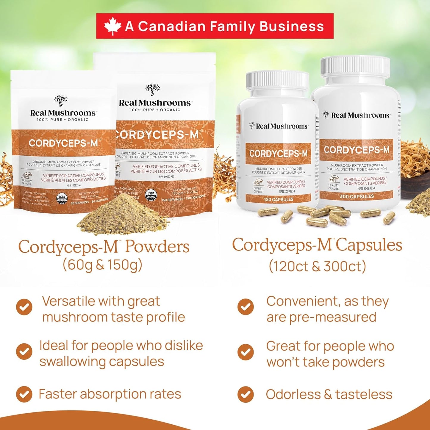 Real Mushrooms Cordyceps Capsules - Organic Militaris Extract with Measured Beta-Glucans Fungal Polysaccharides Immunomodulating Properties Vegan Supplement, Non-GMO, 300 Caps