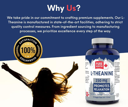 PURE NORTH NATURALS L-茶氨酸 250 毫克，75 粒素食胶囊，75 天用量 - 纯素、非转基因、无麸质，促进放松，增强认知功能 - 加拿大制造