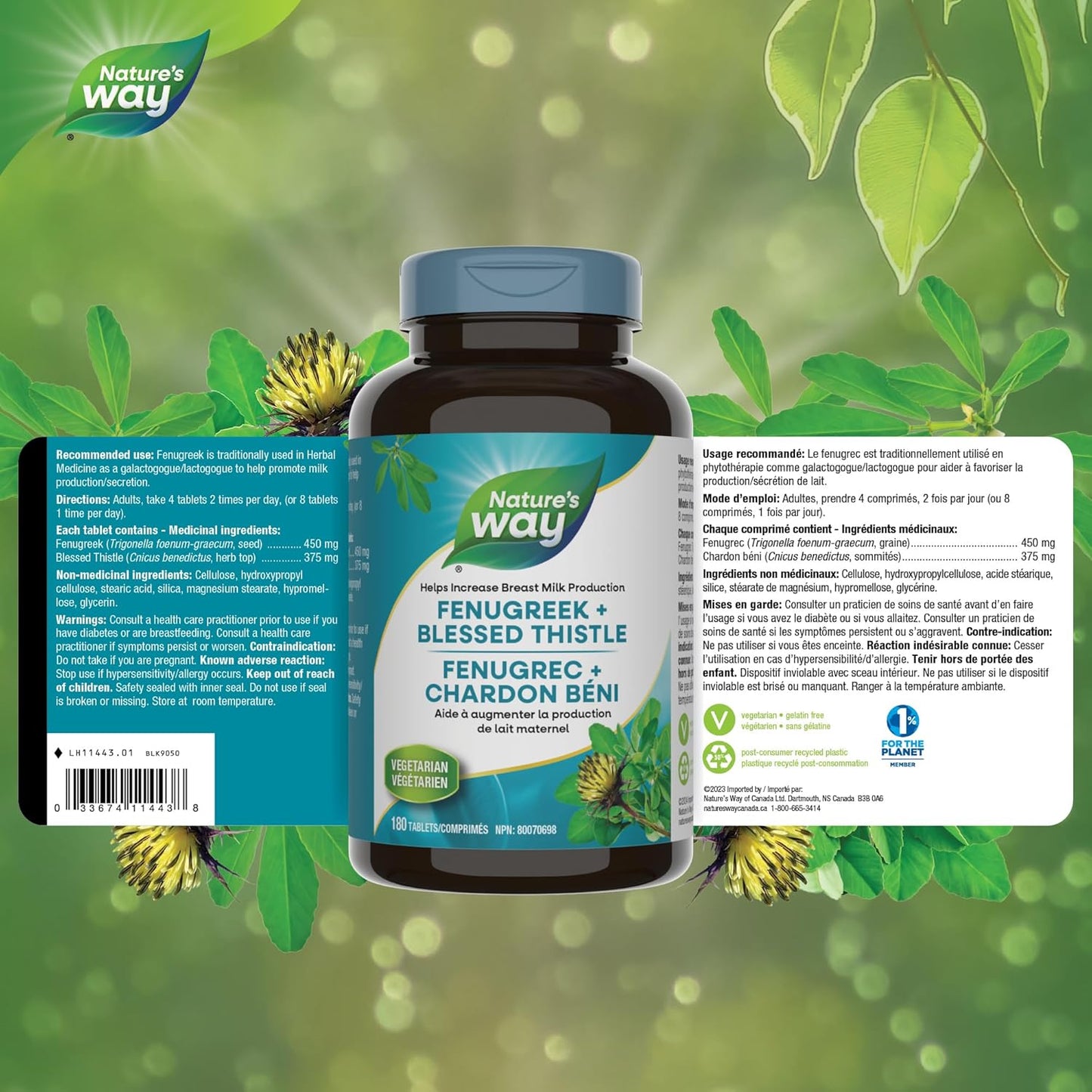 Nature's Way Fenugreek and Blessed Thistle – Used in Herbal Medicine as a Lactation Supplement to Promote Mothers’ Breast Milk Production – Vegetarian, 180 Tablets