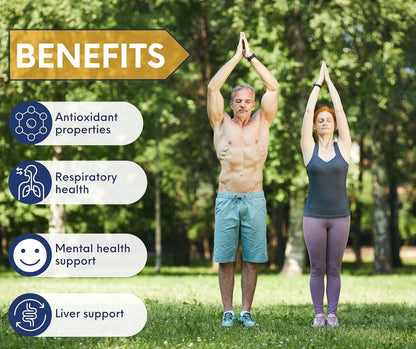 Orthomolecular Laboratories - NAC N-乙醯-L-半胱氨酸 1000 毫克，125 片，強效 125 天劑量 - 肝臟健康、肺部健康和呼吸系統補充劑 - N-乙醯半胱氨酸 NAC 穀胱甘肽補充劑