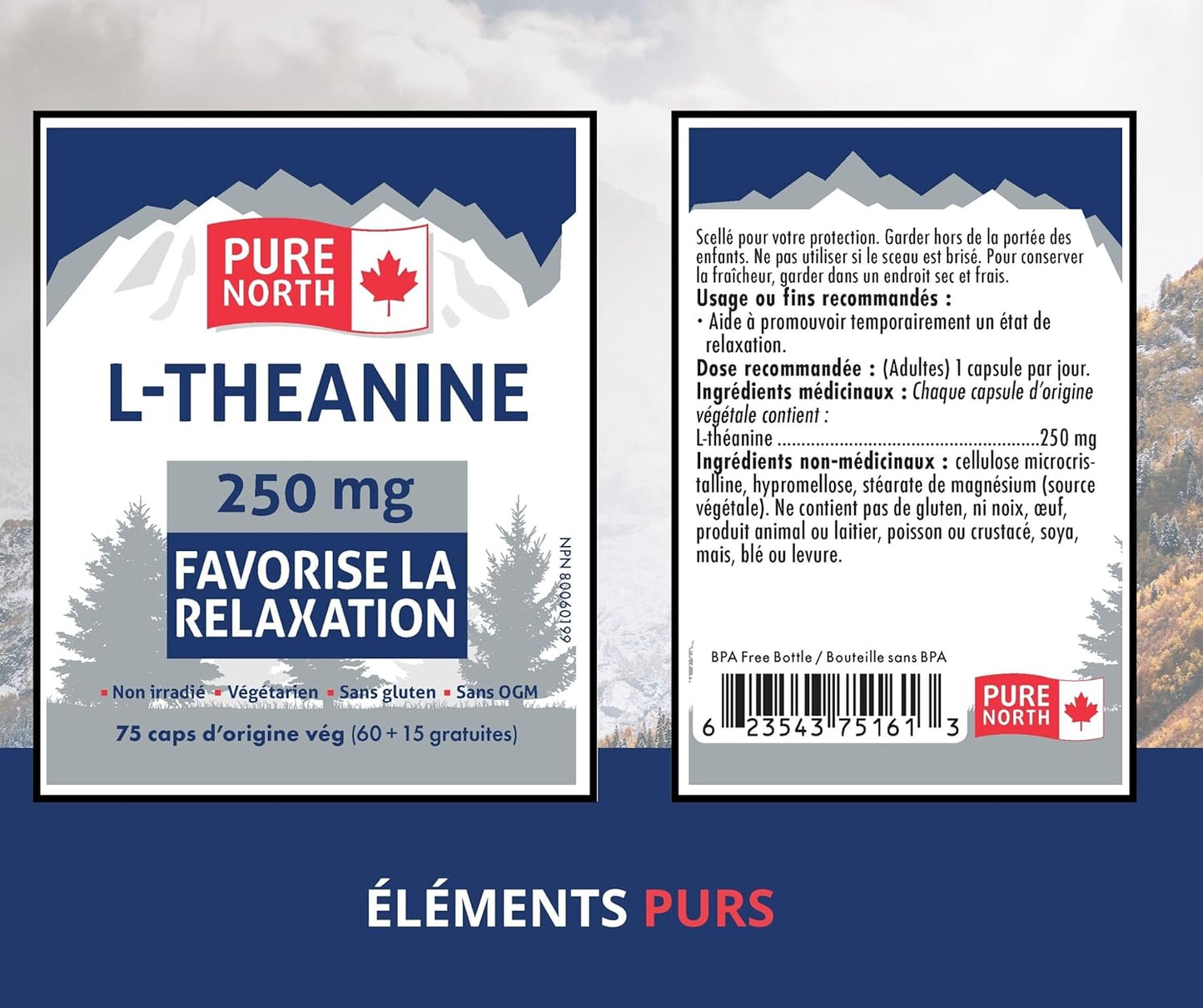 PURE NORTH NATURALS L-茶氨酸 250 毫克，75 粒素食胶囊，75 天用量 - 纯素、非转基因、无麸质，促进放松，增强认知功能 - 加拿大制造