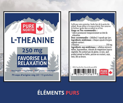PURE NORTH NATURALS L-茶氨酸 250 毫克，75 粒素食胶囊，75 天用量 - 纯素、非转基因、无麸质，促进放松，增强认知功能 - 加拿大制造