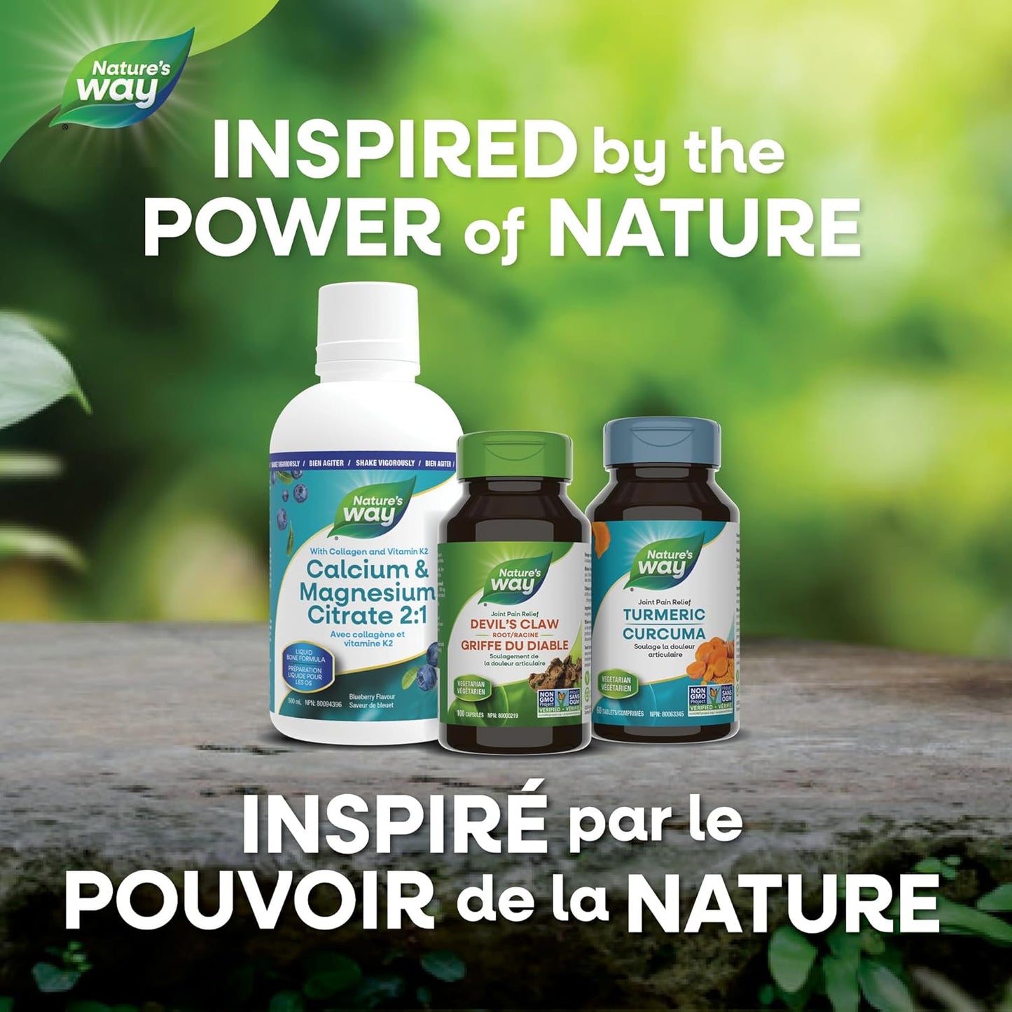 Nature's Way Devil's Claw, Natural Anti-Inflammatory, 100 Capsules