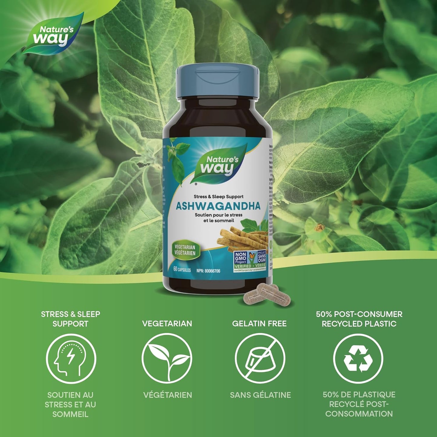 Nature’s Way Ashwagandha – 500 mg Ashwagandha Root Extract – Stress & Sleep Support – 60 Vegetarian Capsules, Non-GMO