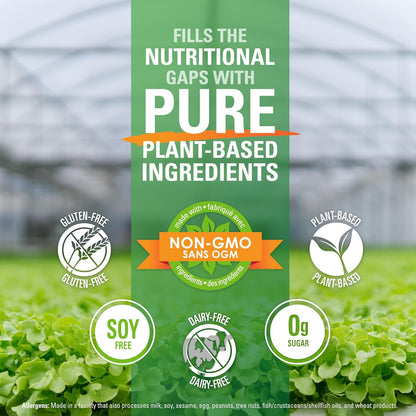 純素純酮綠葉蔬菜，含 MCT 和益生菌 - 香草味，15 種超級食物，22 種維生素，營養豐富的混合物，水果、綠葉蔬菜和蔬菜，0 克糖，無麩質 - 24 份