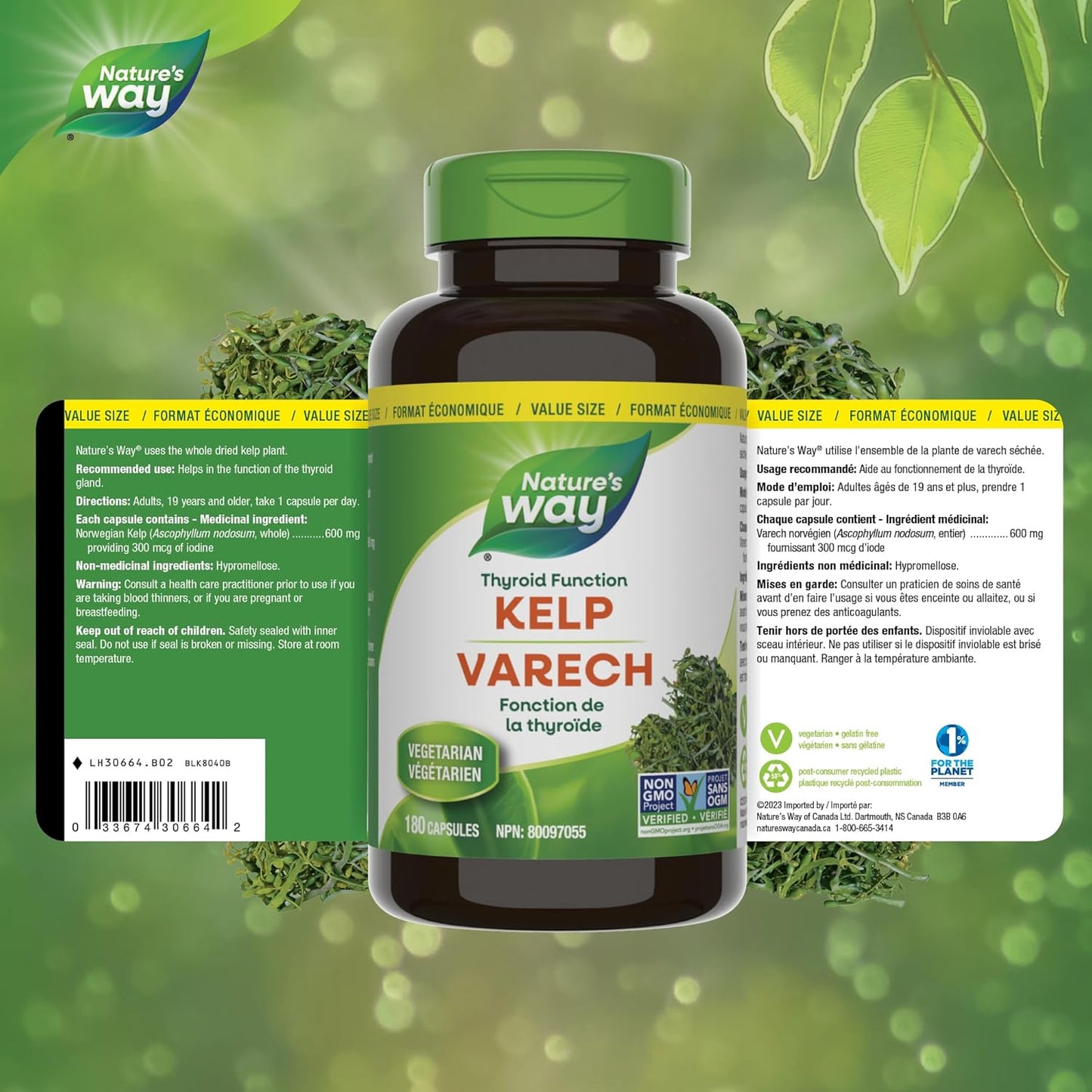 Nature’s Way 海带 - 海带碘补充剂，支持甲状腺功能 - 非转基因 - 180 粒素食胶囊，超值装