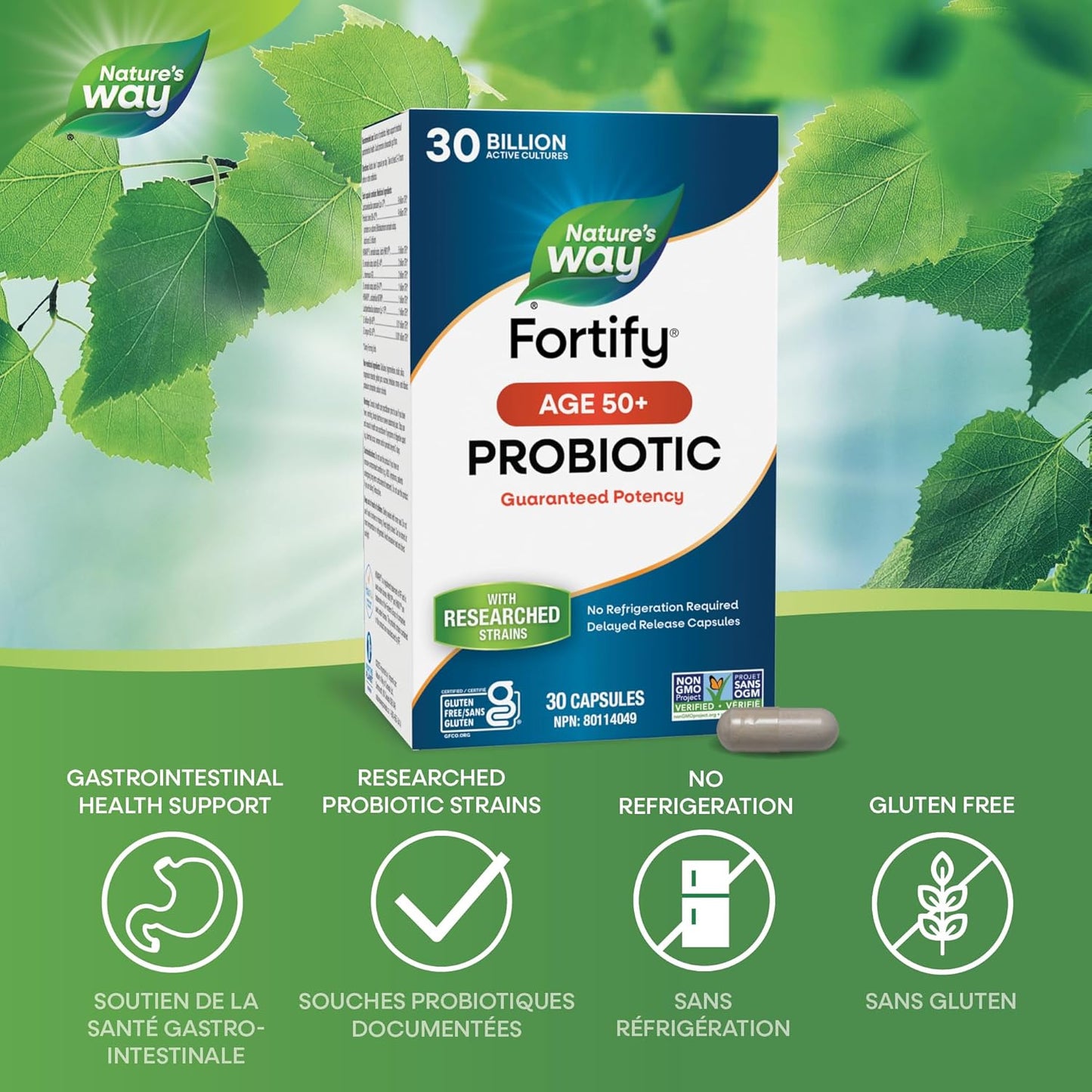 Nature's Way Fortify 50+ Probiotic, 30 Billion Active Probiotic Cultures, Supports Gastrointestinal Health, Gluten-Free Certified, Shelf Stable, 30 Capsules