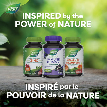 Nature's Way 接骨木免疫原味感冒和流感護理接骨木軟糖，含維生素 C 和鋅，用於草藥，為成人和 4 歲以上兒童提供免疫支持，60 粒軟糖