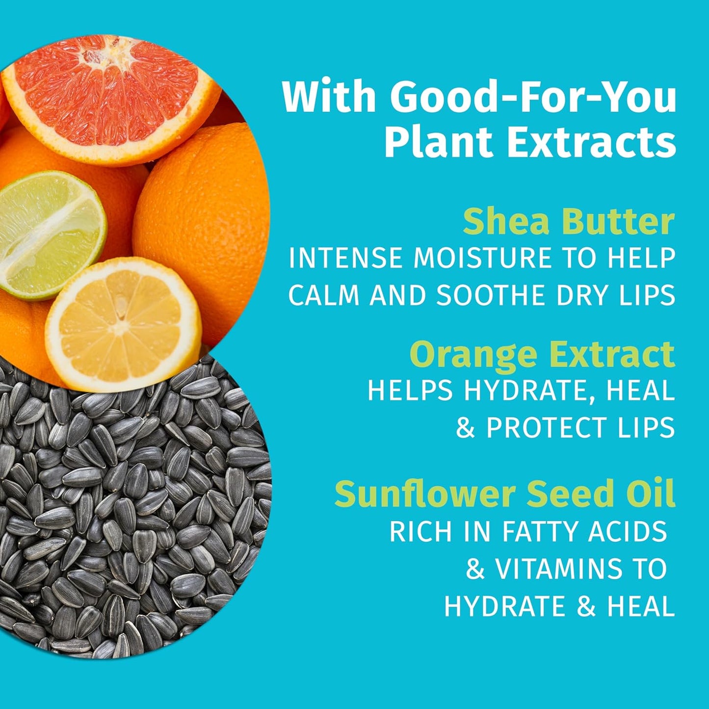 草本超保濕唇膏 0.44 盎司，100% 純天然大麻籽油