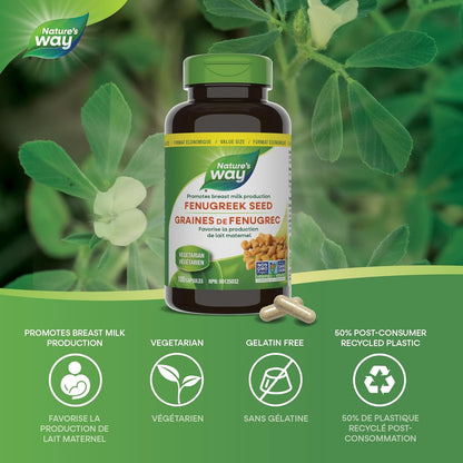Nature's Way 葫蘆巴籽 – 母乳餵養補充劑 – 哺乳支持，幫助母親增加母乳產量，非基因改造 - 180 粒素食膠囊，超值裝