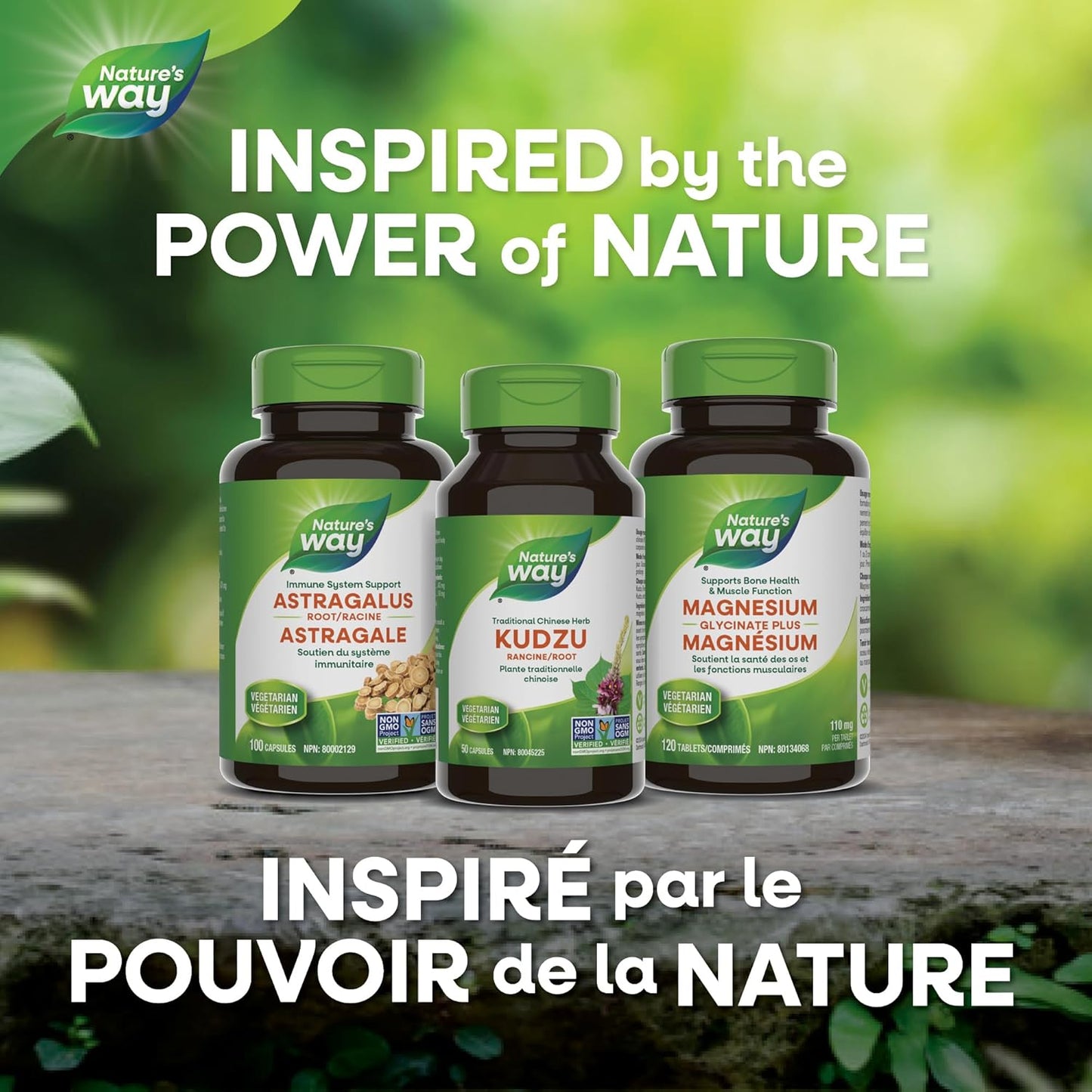 Nature's Way 葛根健康補充劑 – 優質草本補充劑 - 非基因改造項目認證，50 粒素食膠囊