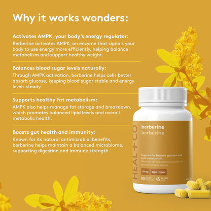 Heal + Co. Berberine 1000mg - High Power, Ultra-Pure, Organic, Superfood - Vegan, GMO-Free, Gluten-Free, Allergen-Free - Box of 90 Vegetable Capsules