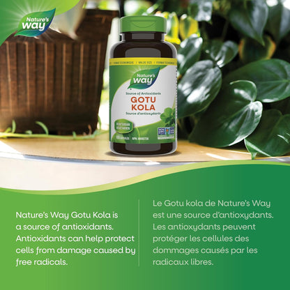 Nature's Way 优质积雪草 – 抗氧化剂来源 – 非转基因，100% 素食 – 超值装，180 粒胶囊