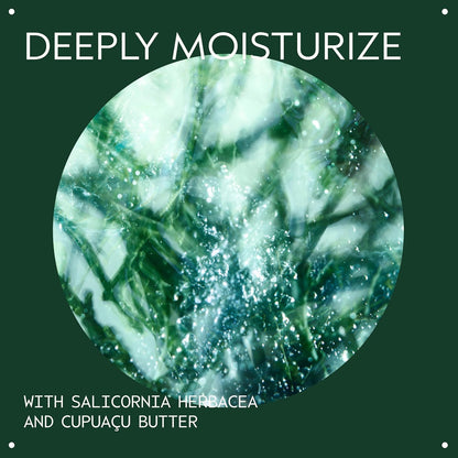 Aveda Botanical Kinetics 强效保湿柔肤霜 | 适合所有肤质的面霜 | 含 Cupaçu 黄油，50ml