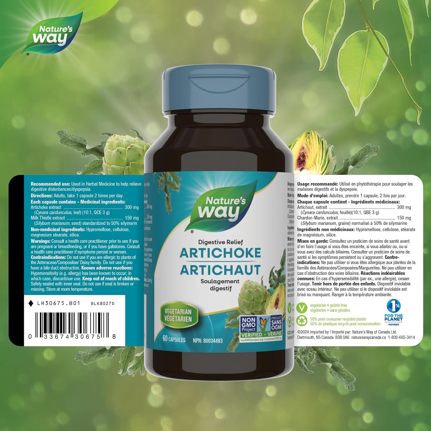 Nature's Way 朝鲜蓟 - 帮助缓解消化障碍的草本补充剂 - 非转基因 - 60 粒素食胶囊