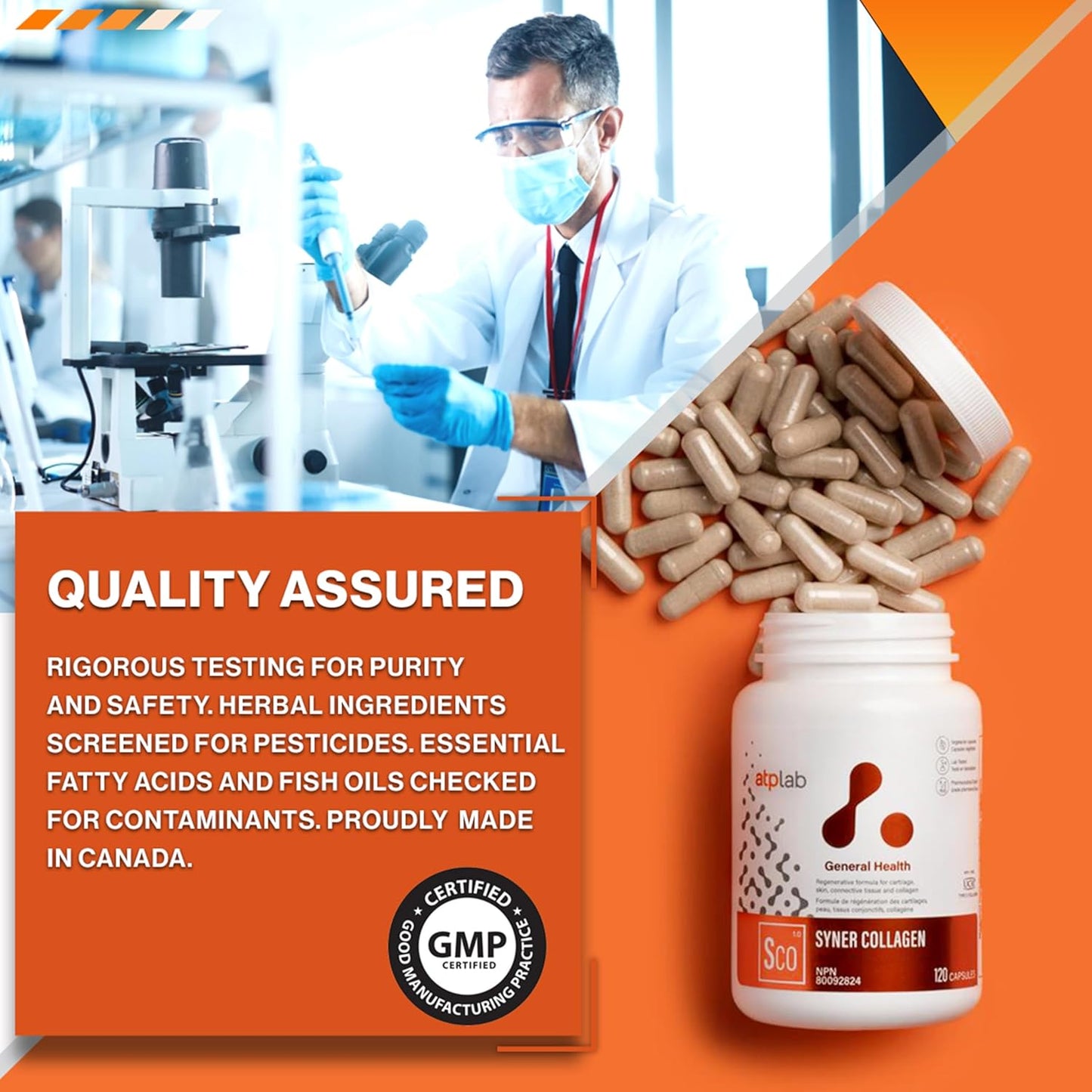 ATP LAB - Syner 胶原蛋白 120 粒胶囊 20 天用量 - 胶原蛋白补充剂胶囊 - 关节健康 - 膝关节疼痛缓解补充剂 - 软骨修复补充剂