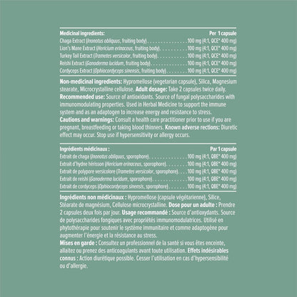 HEAL + CO. 超级蘑菇复合物 | 能量 + 免疫支持补充剂 | 5 种强效蘑菇提取物 - 白桦茸 + 猴头菇 + 火鸡尾菇 + 灵芝 + 冬虫夏草 | 120 x 500 毫克胶囊