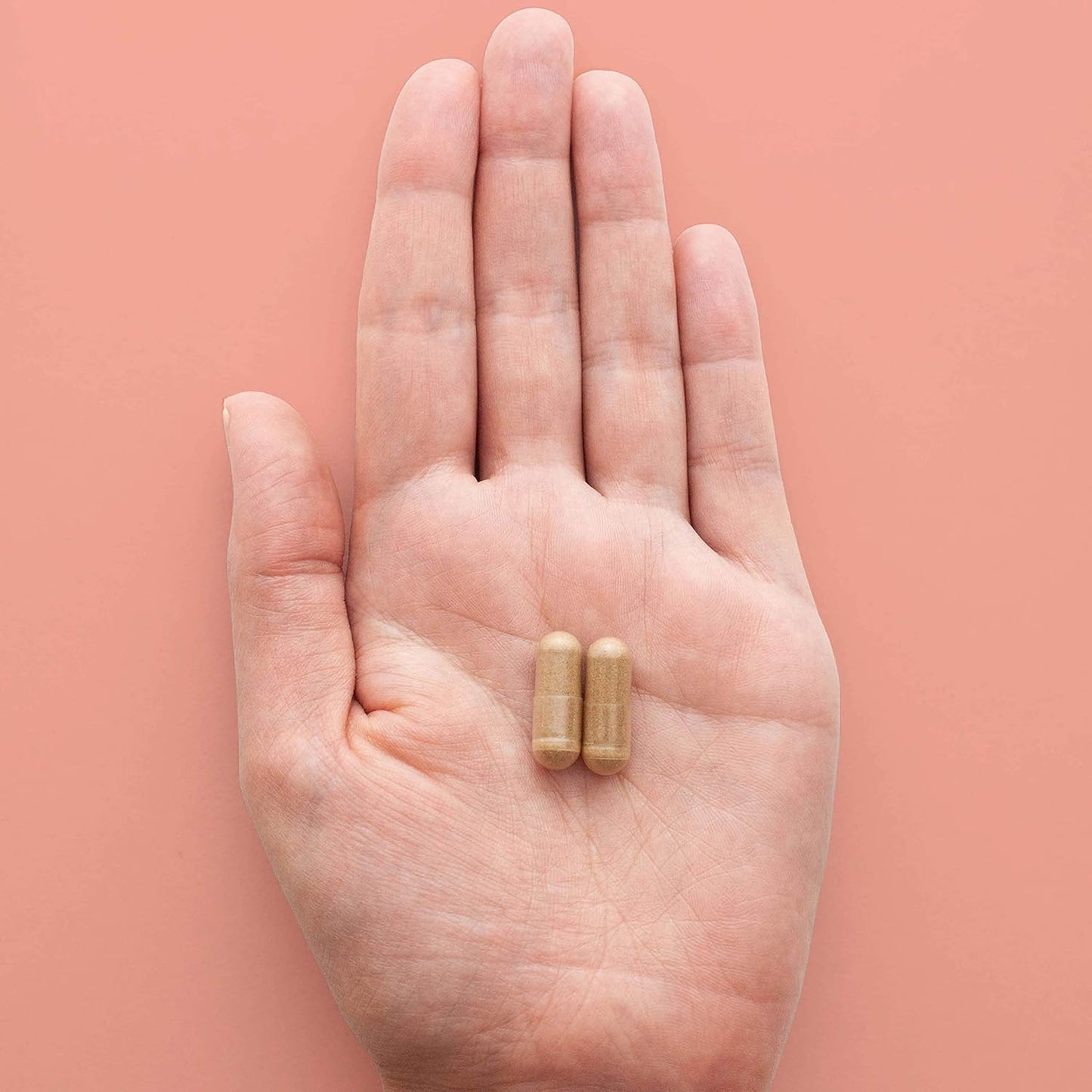 HEAL + CO. 南非醉茄補充劑 | 高效 5:1 萃取物，每份 5000 毫克 | 緩解壓力 + 補充能量 | 120 粒 500 毫克膠囊