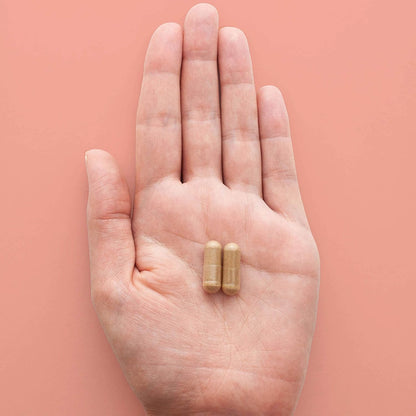 HEAL + CO. 南非醉茄補充劑 | 高效 5:1 萃取物，每份 5000 毫克 | 緩解壓力 + 補充能量 | 120 粒 500 毫克膠囊