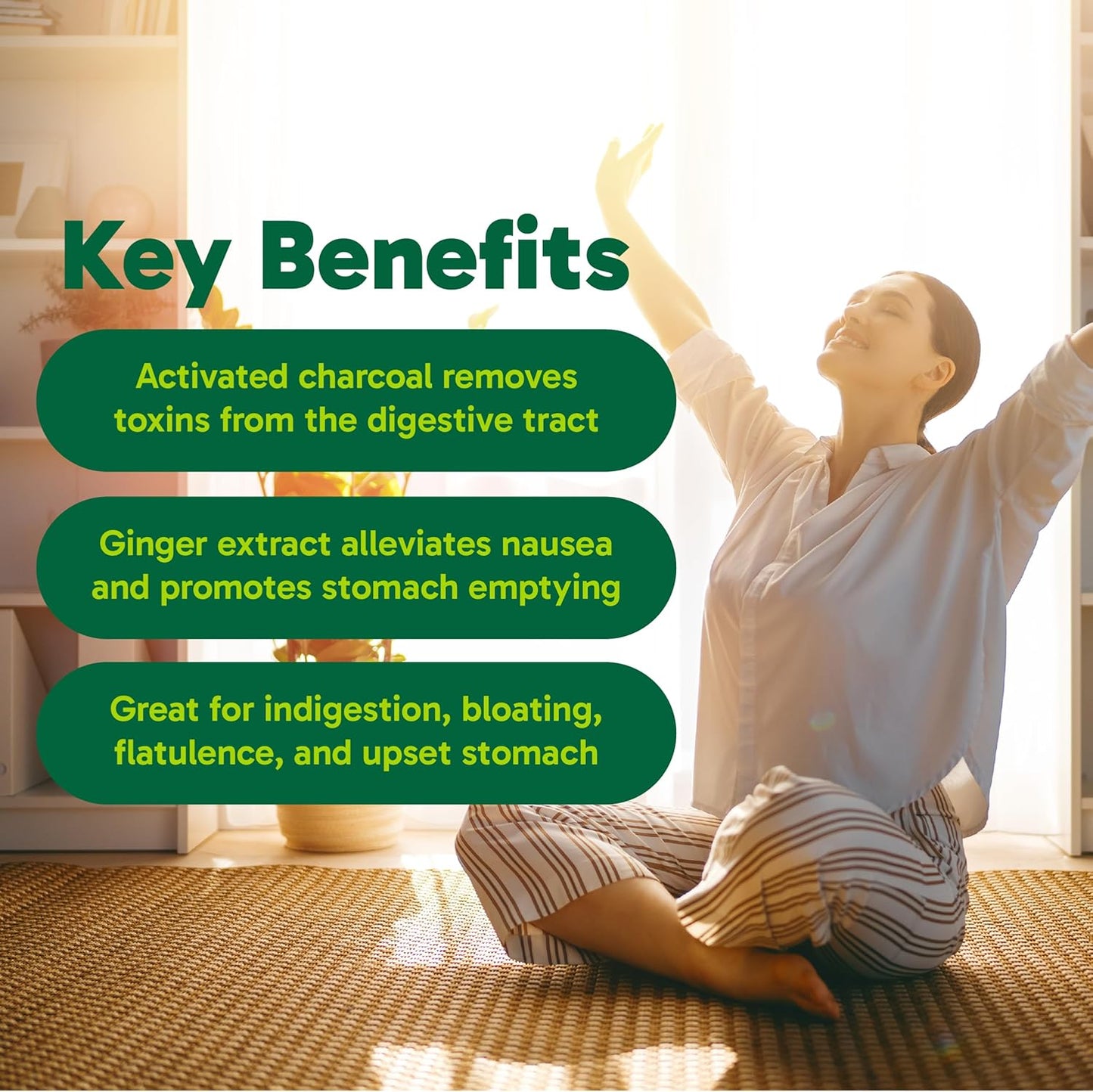 Organika 加拿大制造消化缓解片 - 含生姜和活性炭 - 缓解消化不良，90 片（1 包）