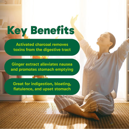 Organika 加拿大制造消化缓解片 - 含生姜和活性炭 - 缓解消化不良，90 片（1 包）