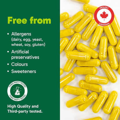 Organika 小檗碱 - 高效，支持胆固醇和葡萄糖代谢，有助于维持心血管健康 - 60粒胶囊