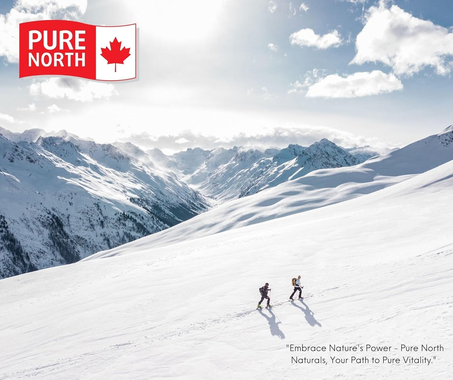 Pure North Naturals - 雙甘氨酸鎂複合物，230 粒素食膠囊，230 天供應量 - 元素鎂，有助於肌肉放鬆和恢復 - 經第三方測試 - 加拿大配製和製造