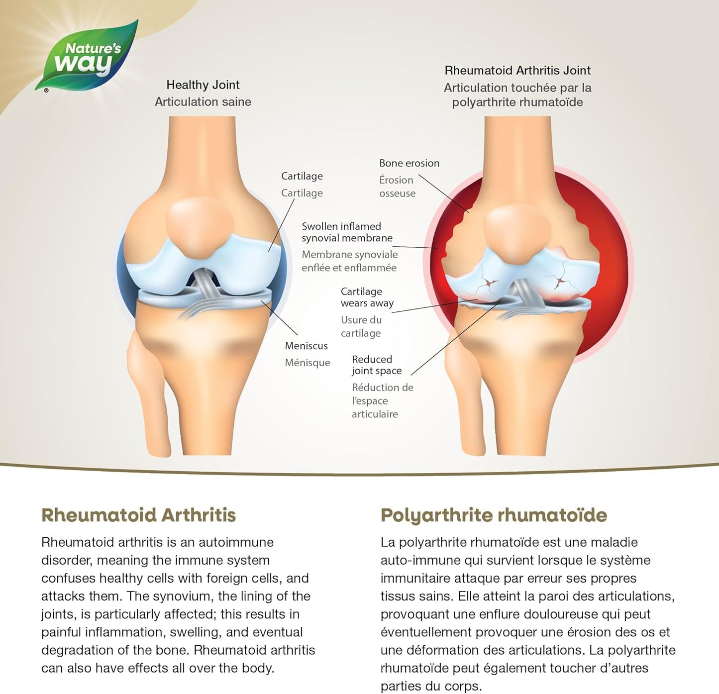 NutraSea Arthritis Targeted Omega-3 - Rheumatoid Arthritis Support 3000mg (1725mg EPA, 1275mg DHA), Fresh Mint, 75 count softgel