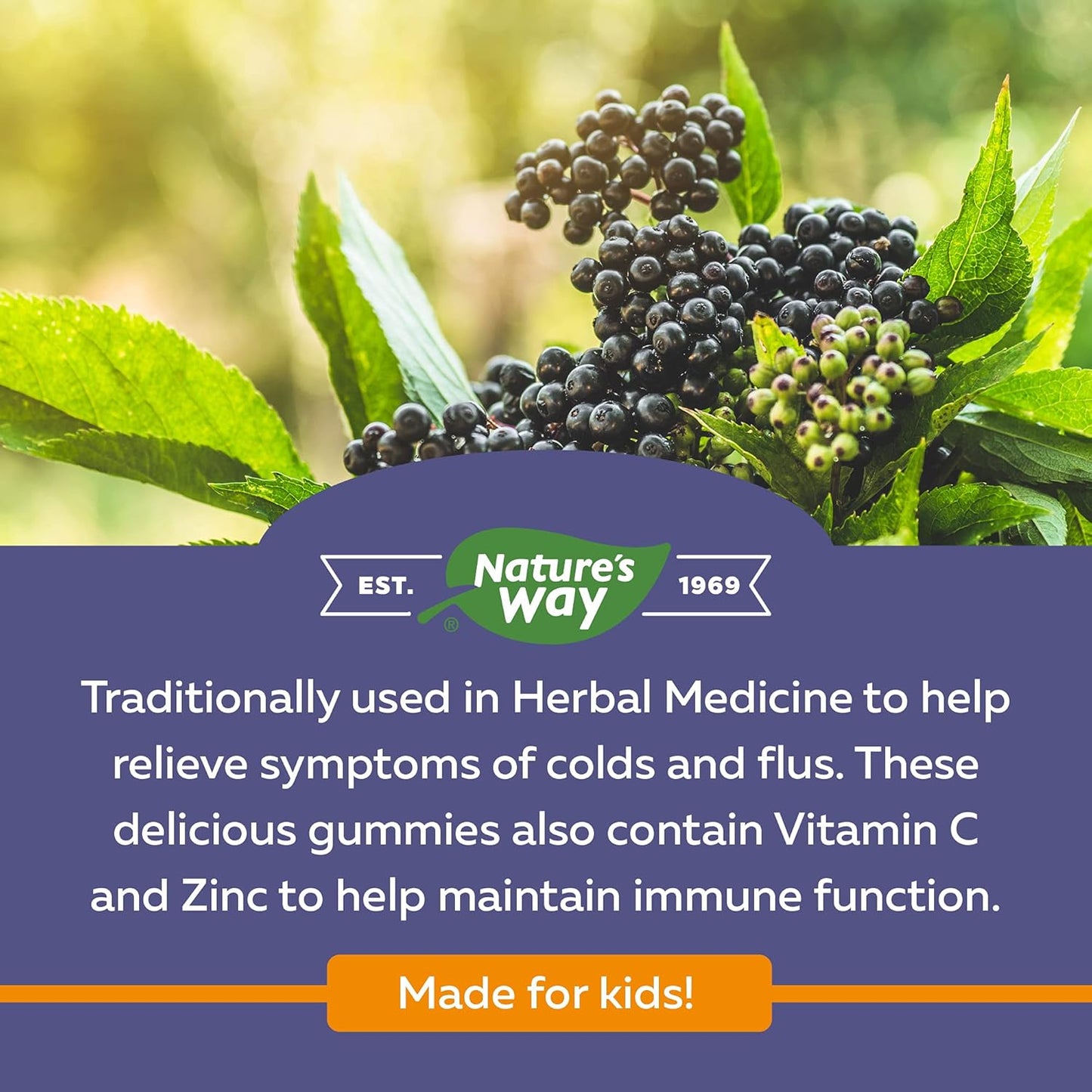 Nature's Way 接骨木免疫感冒和流感护理接骨木软糖和接骨木感冒和流感缓解接骨木儿童软糖