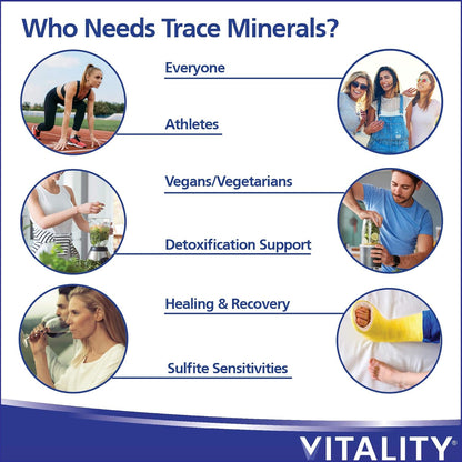 VITALITY 微量礦物質 + 小球藻 | 90 粒植物膠囊（90 天）