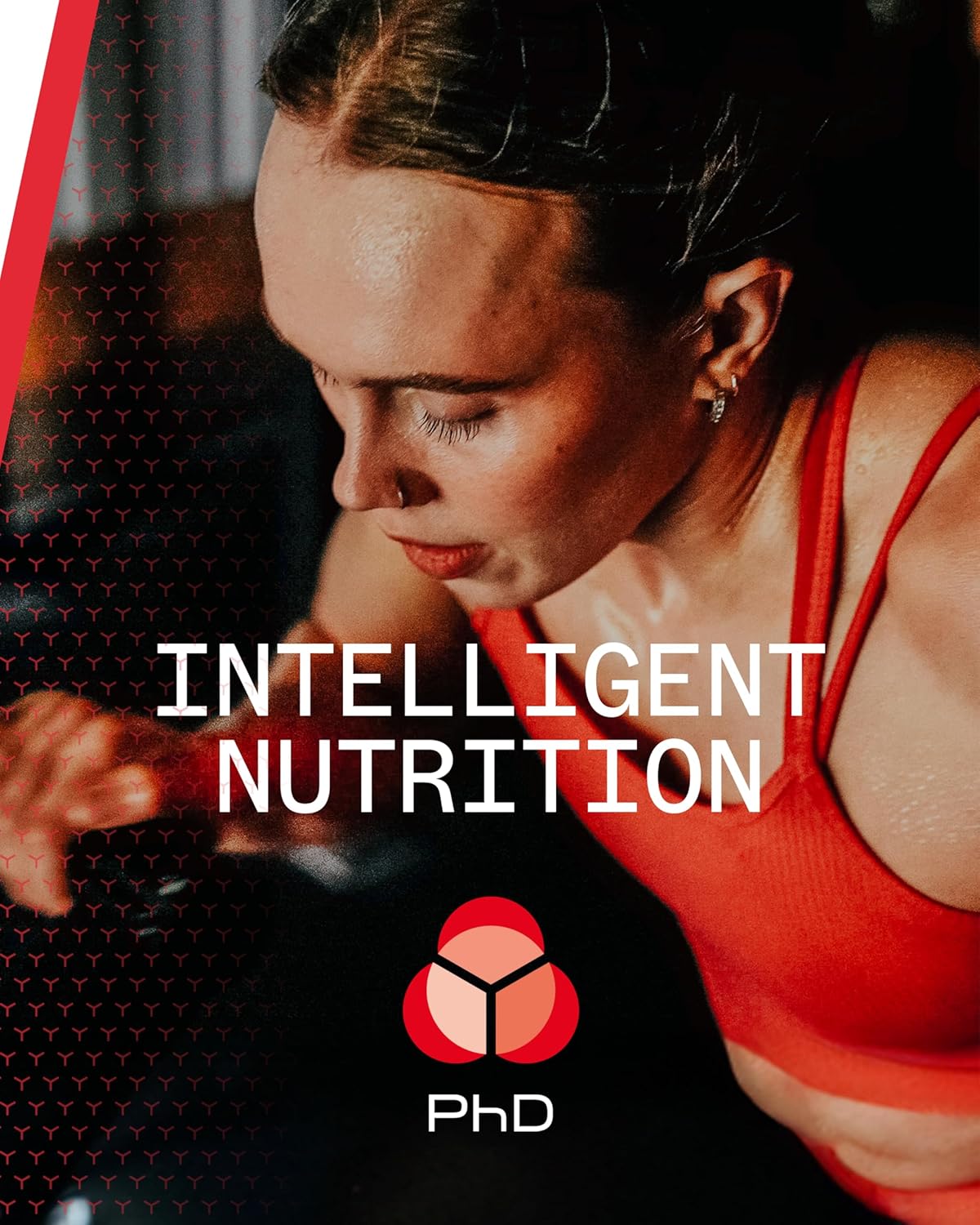 PhD Performance Nutrition 智能棒，黑巧克力覆盆子味，12 支