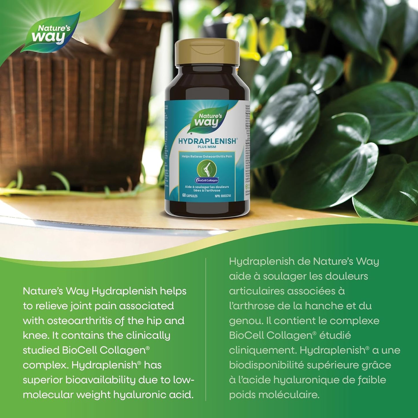 Nature's Way Hydraplenish Plus 膠原蛋白、MSM 和透明質酸、骨關節炎關節疼痛支持、BioCell 膠原蛋白，60 粒膠囊
