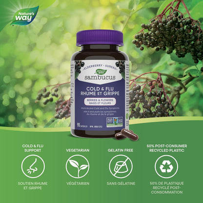 Nature's Way 接骨木免疫原性感冒和流感護理接骨木軟糖和接骨木感冒和流感護理膠囊，90 粒素食膠囊，經過非基因改造項目驗證