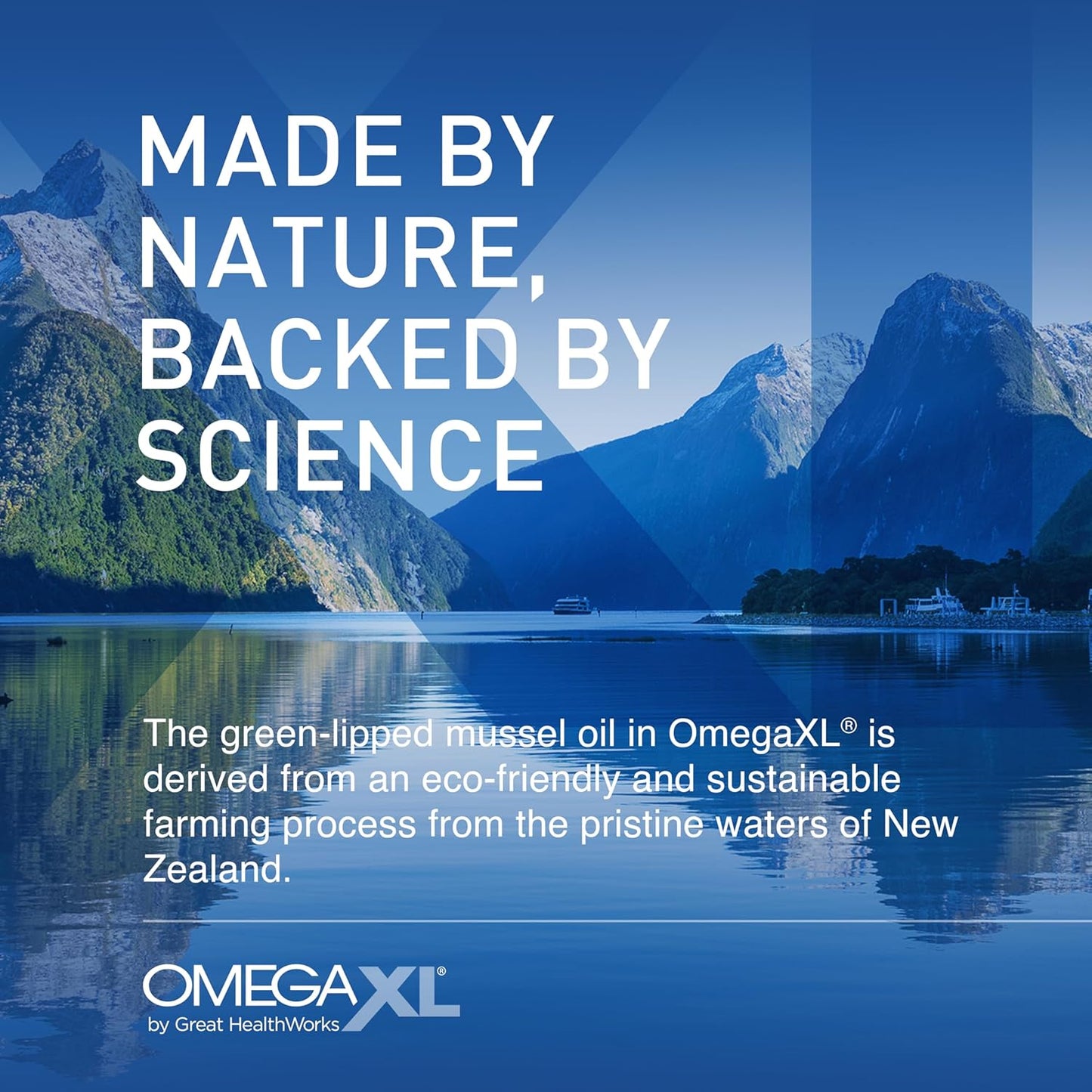 OmegaXL 關節支持補充劑 - 天然肌肉支持，綠唇貽貝油，軟膠囊，無藥物，60 粒